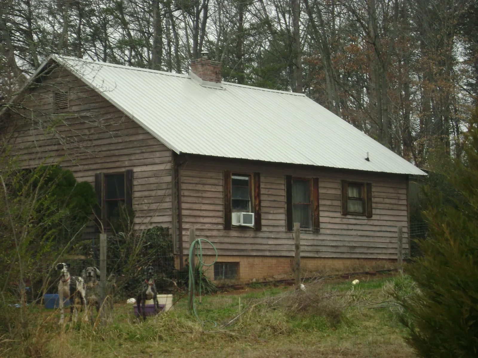 White metal roof on an old wood sided farmhouse, from a Asphalt Shingle Roof Repair job in Doniphan